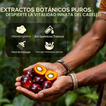 Pack Shampoo de Batana 300ml  + Aceite de Batana 30ml🧴🌿