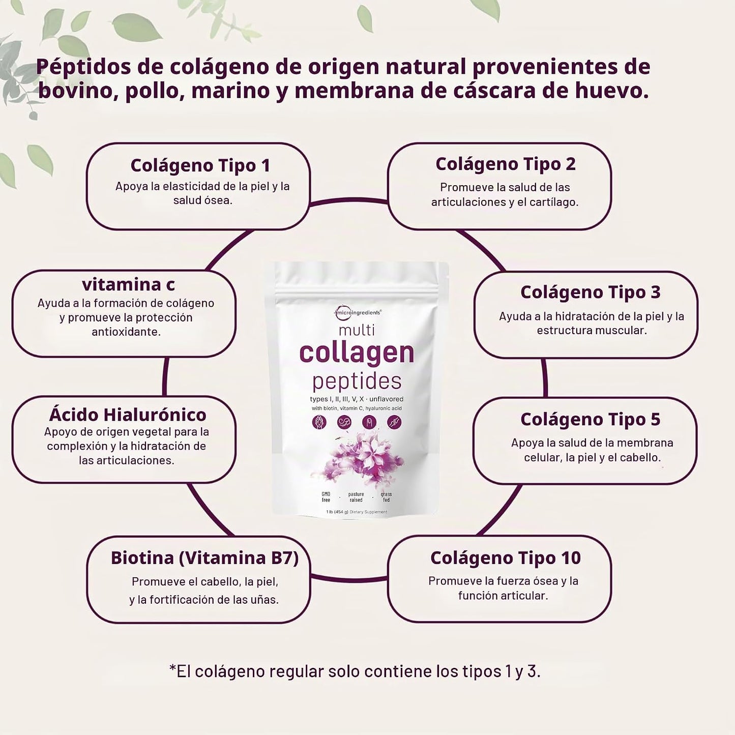 Micro Ingredients - Péptidos de colágeno en polvo