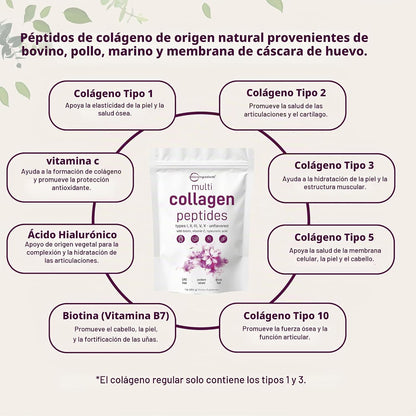 Micro Ingredients - Péptidos de colágeno en polvo