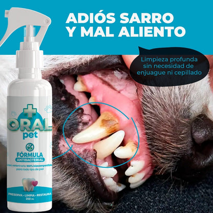 OralPet™ Dile Adiós Al Sarro - Limpieza bucal para mascotas - ENVÍO GRATIS 🎁