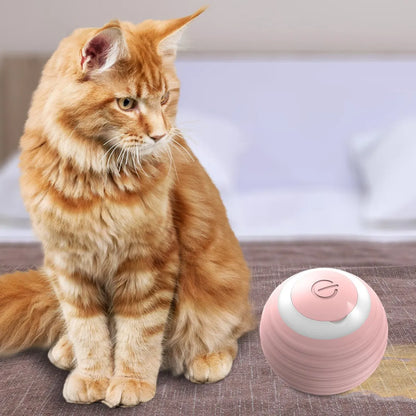 😺🥎Pelota inteligente para gatos - diversión infinita para tu mascota